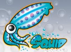 Squid